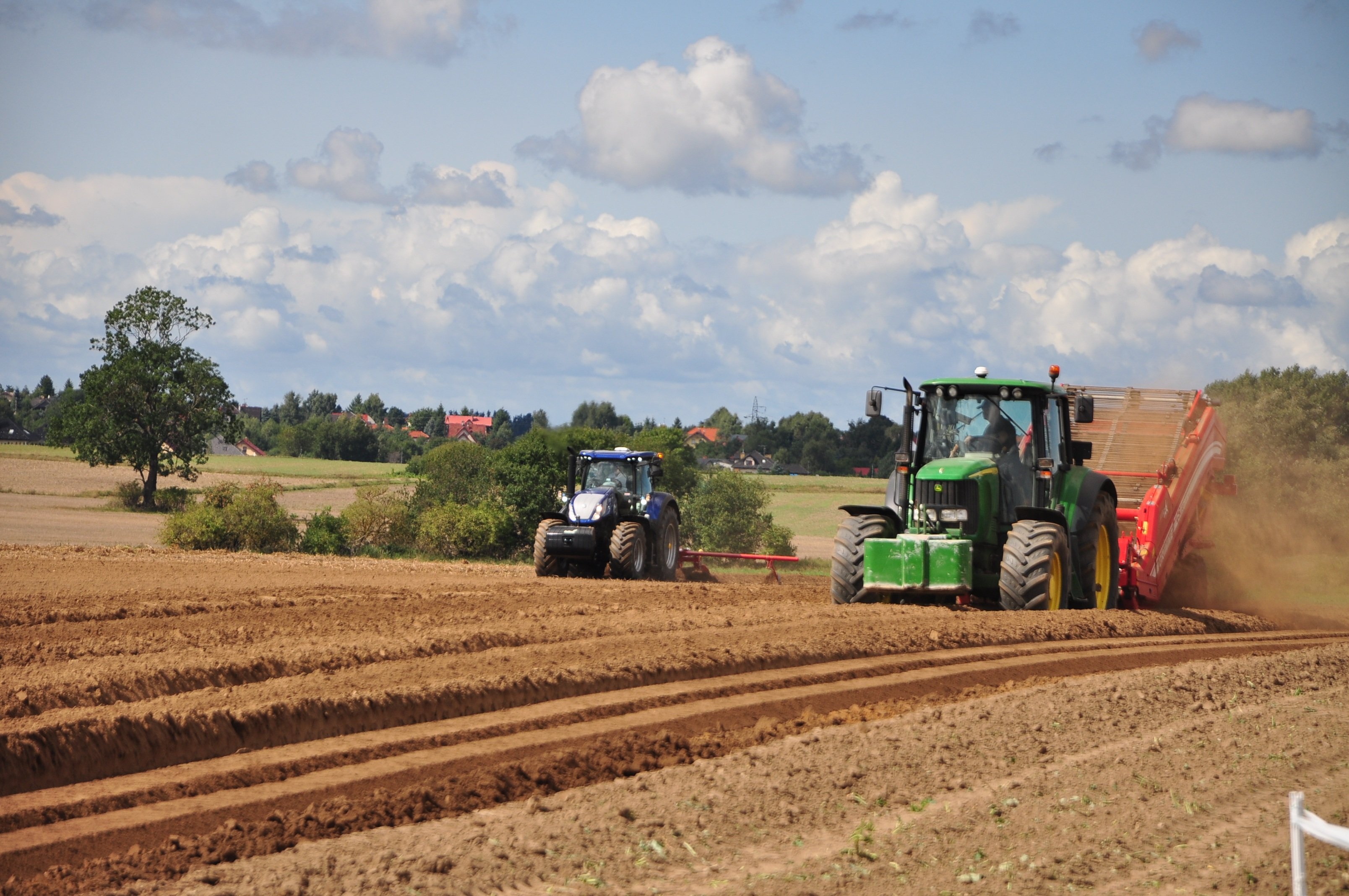 Two tractors harvesting a potato field